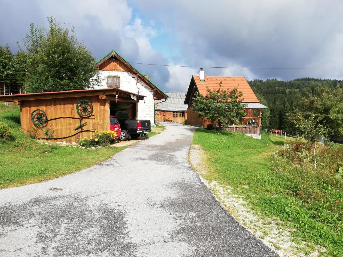 Ferienhaus Friedlhof Langschlag  Zewnętrze zdjęcie