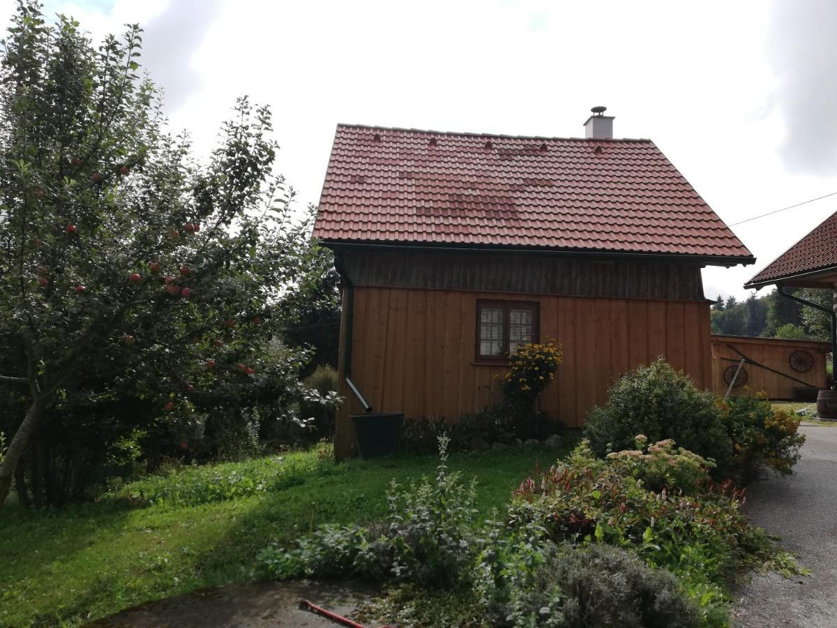 Ferienhaus Friedlhof Langschlag  Zewnętrze zdjęcie