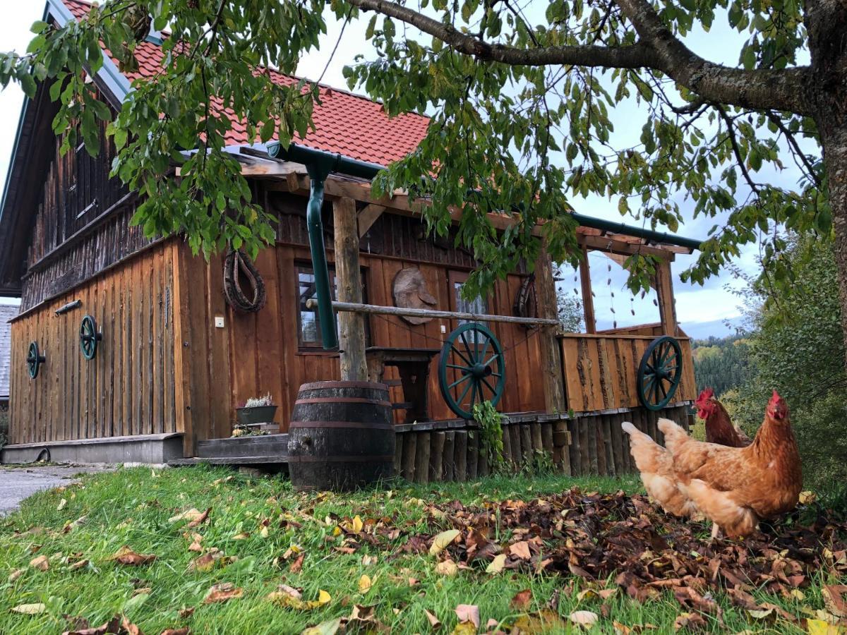 Ferienhaus Friedlhof Langschlag  Zewnętrze zdjęcie
