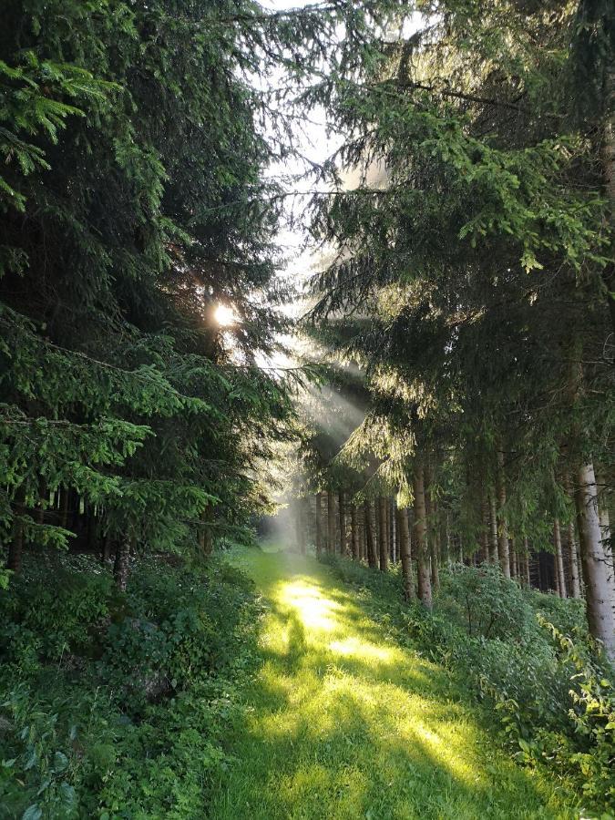 Ferienhaus Friedlhof Langschlag  Zewnętrze zdjęcie