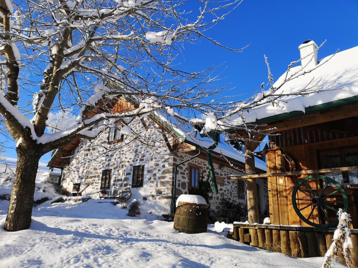 Ferienhaus Friedlhof Langschlag  Zewnętrze zdjęcie